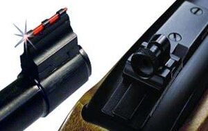 WILLIAMS FIRE SIGHT PEEP SET - FOR RUGER 10/22 RIFLES