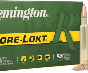 REMINGTON 300 WBY MAGNUM 180GR - CORE-LOKT PSP 20RD 10BX/CS