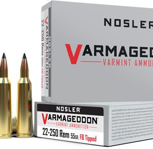 NOSLER VARMAGEDDON 22-250 REM - 55GR FBT 20RD 10BX/CS