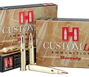 HORNADY CUSTOM LITE 243 WIN - 87GR SST 20RD 10BX/CS