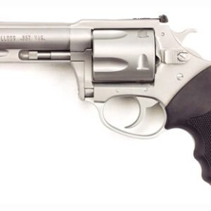 CHARTER ARMS TARGET MAGNUM - 357MAG 4.2" S/S ADJ