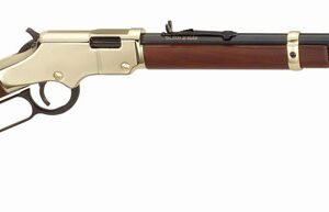 HENRY H4 GOLDENBOY 17HMR - 20" OCTAGON WALNUT