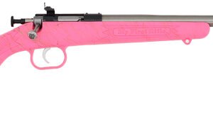 CRICKETT RIFLE G2 22LR PINK - SYNTHETIC/GOLD WEB STAINLESS