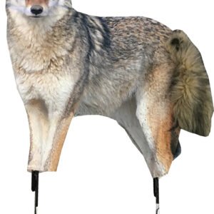 MONTANA DECOY COYOTE SONG DOG