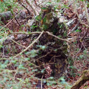 TITAN LEAFY SUIT MOSSY OAK - OBSESSION NWTF L/XL PANTS/TOP