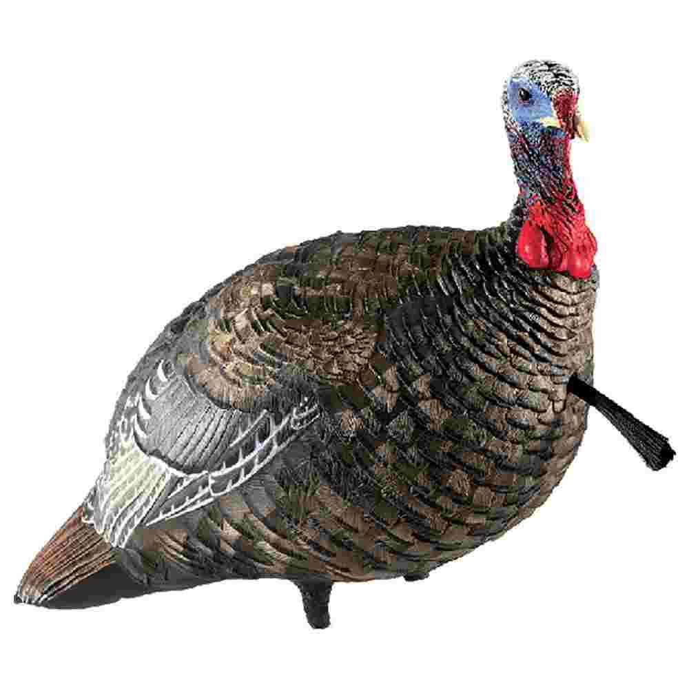 Avian-X LCD Quarter-Strut Jake Turkey Decoy