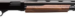 WINCHESTER SXP HIGH GRADE 12GA - 3" 26"VR WALNUT HIGH GLOSS