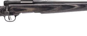 SAVAGE BMAG SPORTER 17WSM 22" - ACCU TRIG BLUED/GRAY LAMINATE