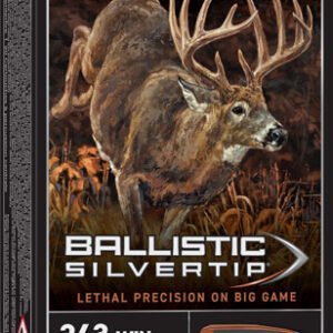 WINCHESTER SUPREME 243 WIN - 95GR SILVER-TIP 20RD 10BX/CS