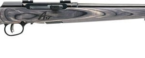 SAVAGE A17 17WSM SPORTER 22" - ACCU TGR BLU/GRY LAM SPORTER
