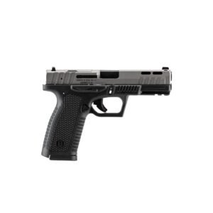 Bersa BP9FS 9MM 17Rd Magazine (2) 4.25" Barrel Matte Black Optics Ready