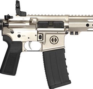 HIPOINT PISTOL HP-15 300 AAC - 10.5" 30RD BLADE BRACE SILVER