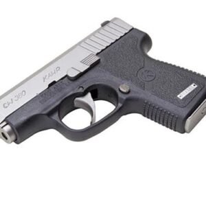 CW380 .380 ACP 2.5' Black/STS w/6rd Mag Front Night Sights